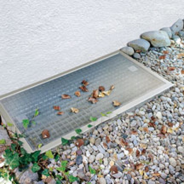 Insektenschutz